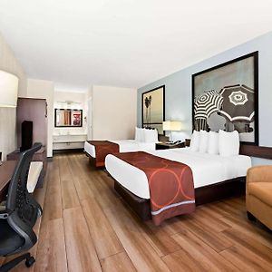Super 8 By Wyndham Florida City/Homestead/Everglades